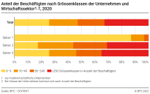 Anteil der Beschäftigten nach Grössenklassen der Unternehmen und Wirtschaftssektor