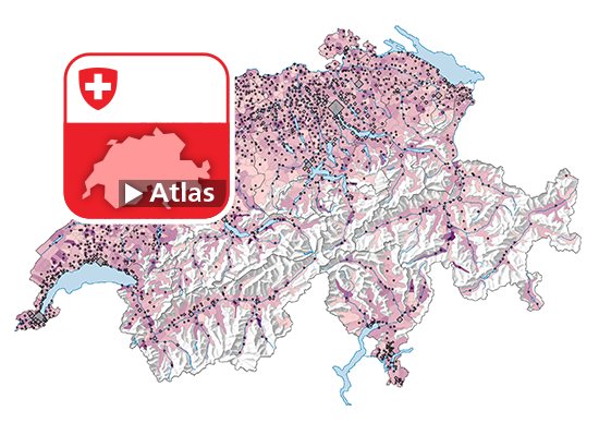 Rohe Scheidungsziffer