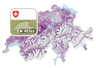Volksinitiative «Keine Massentierhaltung in der Schweiz (Massentierhaltungsinitiative)»
