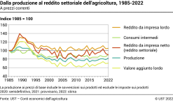 Dalla produzione al reddito settoriale dell'agricoltura - Indice