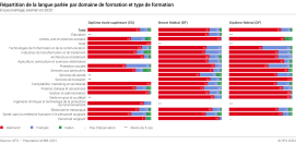 Répartition de la langue par domaine de formation et le type de diplôme