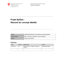 Projet SpiGes: résumé du concept détaillé