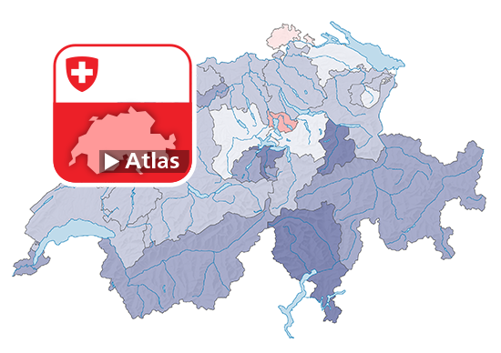 Entwicklung des Bruttoinlandproduktes, 2019-2020