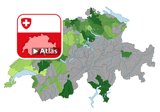 Taux de maturités professionnelles, en 2020
