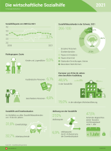 Die wirtschaftliche Sozialhilfe