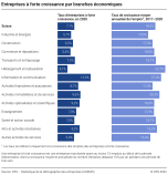 Entreprises à forte croissance par branches économiques