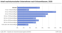 Anteil wachstumsstarker Unternehmen nach Grössenklassen