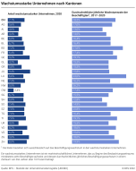 Wachstumsstarke Unternehmen nach Kantonen