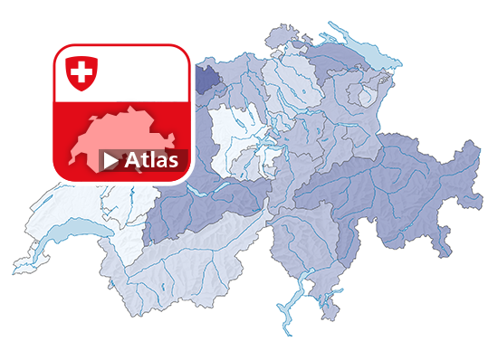 Hospitalisierungsrate in der Akutpflege, 2021