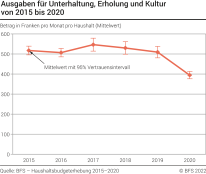 Ausgaben für Unterhaltung, Erholung und Kultur von 2015 bis 2020