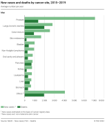 New cases and deaths by cancer site, 2015-2019
