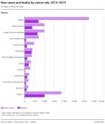 New cases and deaths by cancer site, 2015-2019
