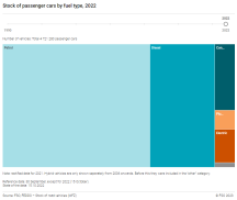 Stock of passenger cars by fuel type