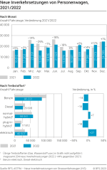 Neue Inverkehrsetzungen von Personenwagen nach Monat und Treibstoffart