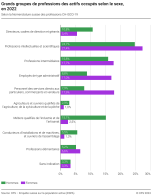 Grands groupes de professions des actifs occupés selon le sexe
