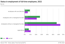 Status in employment of full-time employees by sex