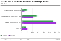 Situation dans la profession des salariés à plein-temps selon le sexe