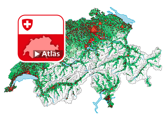 Elektrofahrzeuge 2022