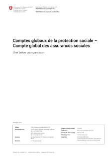Comptes globaux de la protection sociale - Compte global des assurances sociales