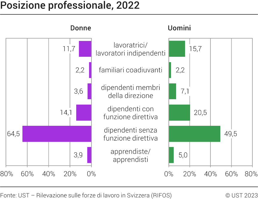 Posizione professionale