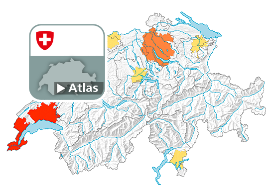 Durchschnittliche Wohnfläche