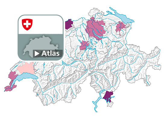 Âge médian, en 2021