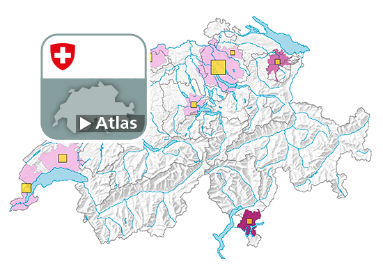 Motorisierungsgrad