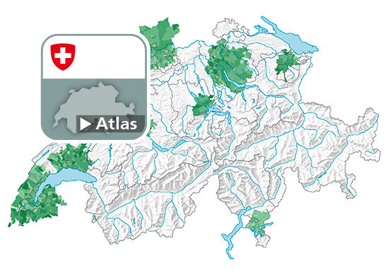 Taux brut de natalité, en 2020