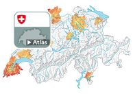 Einfamilienhäuser pro 100 Wohnungen