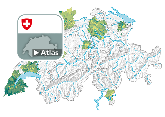 Rapport de dépendance des jeunes, en 2020