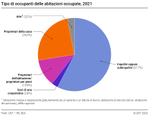 Tipo di occupanti delle abitazioni occupate