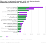 Elèves de la formation professionnelle initiale selon les domaines de formation les plus représentés et le sexe