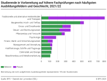 Studierende in Vorbereitung auf höhere Fachprüfungen nach häufigsten Ausbildungsfeldern und Geschlecht