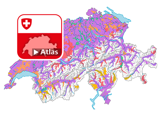 Dominierende Energiequelle der Heizung der Wohnungen, 2021