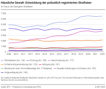 Häusliche Gewalt: Entwicklung der polizeilich registrierten Straftaten - Im Fokus: die häufigsten Straftaten