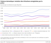 Violence domestique: évolution des infractions enregistrées par la police - Sous la loupe: les infractions les plus fréquentes
