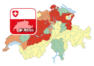 Durchschnittlicher Preis eines Billets