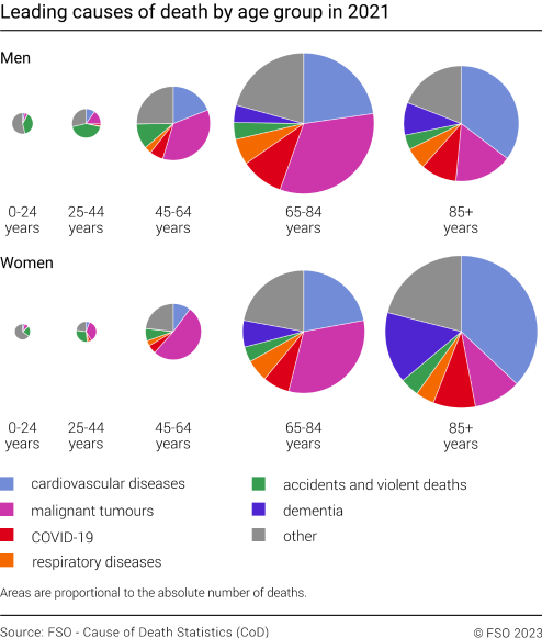 Leading causes of death by age group in 2021