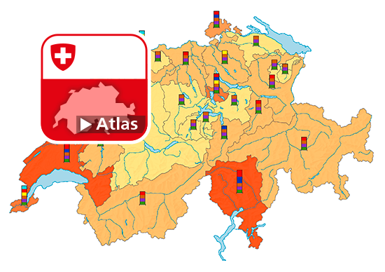 Leistungen der Sozialhilfe im weiteren Sinn, 2022
