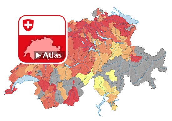 Strafgesetzbuch (StGB): Häufigkeitszahl Betrügerischer Missbrauch einer Datenverarbeitungsanlage (Art. 147), 2022