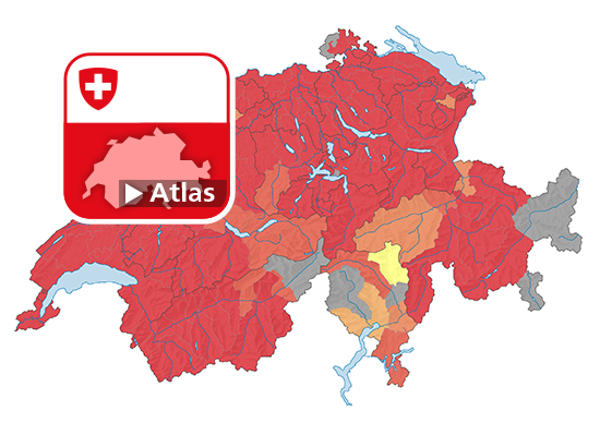 Strafgesetzbuch (StGB): Häufigkeitszahl Betrug (Art.146), 2022