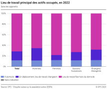 Lieu de travail principal des actifs occupés (sans les apprentis)