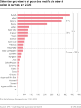 Détention provisoire et pour des motifs de sûreté selon le canton