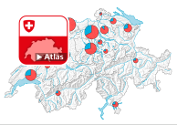 Situation et taille des hautes écoles pédagogiques