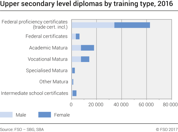 Upper secondary level diplomas by training type