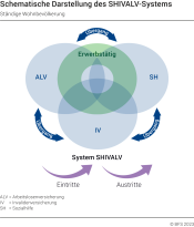 Schematische Darstellung des SHIVALV-System