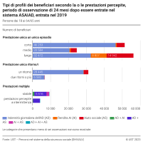Tipi di profili secondo la o le prestazioni percepite, periodo di osservazione di 24 mesi, entrata nel 2019