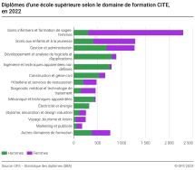 Diplômes d'une école supérieure selon le domaine de formation CITE