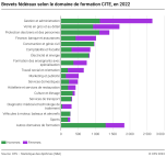Brevets fédéraux selon le domaine de formation CITE