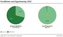 Forstflächen nach Eigentümertyp